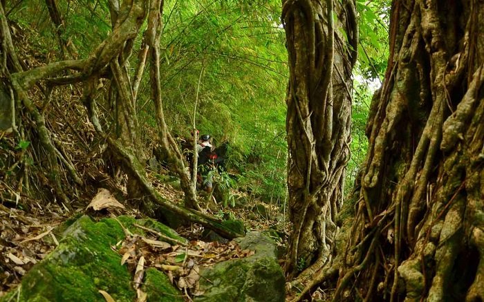 Siem Reap Easy Trekking Tour 4 Days